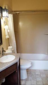 克劳德克罗夫特The Lodge at Cloudcroft的浴室配有卫生间、盥洗盆和浴缸。