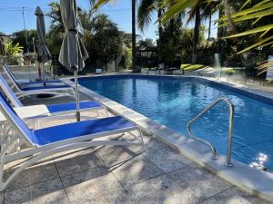 黄金海岸伯利棕榈假日公寓酒店的一个带2把躺椅和遮阳伞的游泳池