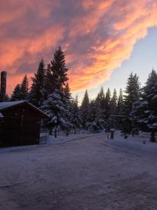 Lone ButteDream Cabin的雪地和树木的日落