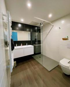 圣艾米隆La Petite Fontaine的带淋浴、盥洗盆和卫生间的浴室