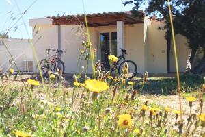 圣费兰-德瑟斯罗La Casita Yolanda, ideal parejas - Formentera Natural的停放在大楼前的两辆自行车
