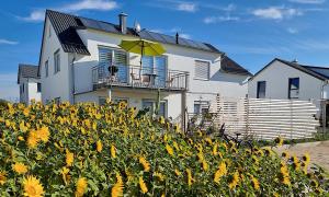 布劳博伊伦Ferienwohnung Reimann mit kostenloser AlbCard的一座房子前面有向日葵