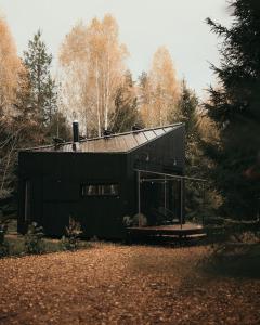 利加特内Briežu Stacija Off Grid Cabin的森林中间的黑色建筑