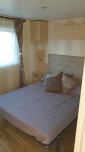 滨海圣佩Sylvie propriétaire du mobil-home " Camping de la Chanterie"的窗户客房内的一张大床