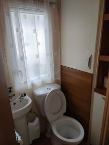 凯恩莱安Cairnryan Heights t-a Brae Holiday Homes的一间带卫生间和水槽的小浴室
