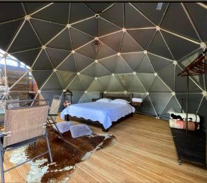 瓜塔佩Glamping Montecarlo Domo Geodesico y Sauna Finlandés Guatapé的大房间,帐篷内有一张床