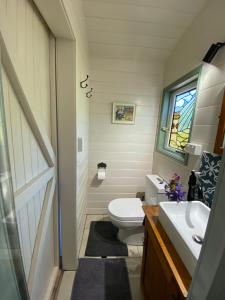 EvandaleShepherd's Cottage的一间带卫生间、水槽和窗户的浴室