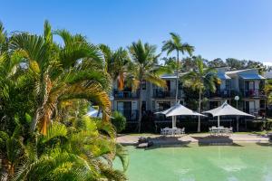 努萨维尔努萨湖泊度假酒店的一个带游泳池、棕榈树和遮阳伞的度假村