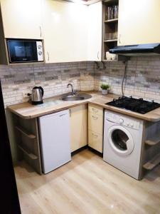 利沃夫Comfortable modern apartment的厨房配有水槽和洗衣机
