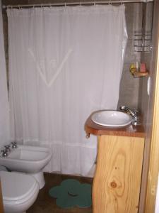 圣卡洛斯-德巴里洛切佛得角索尔度假屋的一间带水槽、卫生间和淋浴的浴室