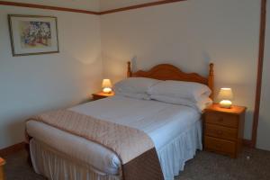 StokeinteignheadPalm Tree Cottage的一间卧室配有一张带2个床头柜和2盏灯的床。