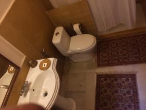 斋沙默尔齐拉巴哈旺旅馆的一间带卫生间和水槽的小浴室