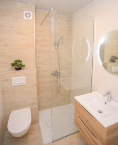 波德戈里察Design Apartment near Gorica Park的带淋浴、卫生间和盥洗盆的浴室