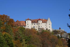 魏申费尔德Limerhof的一座树冠茂密的山顶上的城堡