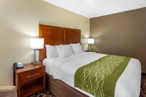 奥罗拉北奥罗拉-内珀维尔康福特茵套房酒店的一张大床,位于酒店带两盏灯的房间