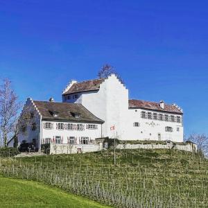 OberstammheimHotel & Restaurant Schloss Schwandegg的一座大型白色建筑,位于田野顶部