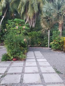 拉迪格岛Chez Mera Self Catering的花园里的石头人行道,种有植物和棕榈树