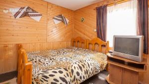沃罗赫塔Сонне Царство的一间卧室配有一张豹纹床和一台电视。