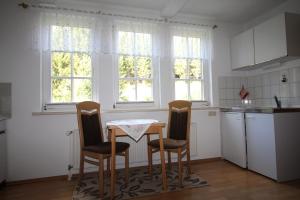 施尔奇Haus Bodesprung的厨房配有桌椅和窗户。