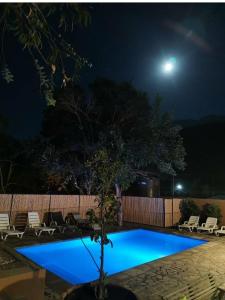 皮斯科艾齐Ruta Elqui的夜晚的蓝色游泳池与月亮