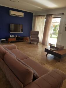 达利安Villa Bade的带沙发和电视的客厅
