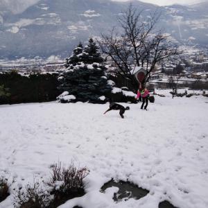 奥斯塔Casa Lumiere的两个人和一只狗在雪中玩飞盘