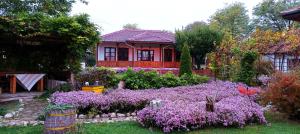 SrebŭrnaBabinata Kashta-Srebarna的一座花园,在房子前面种有紫色的花朵