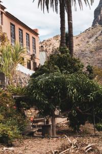 巴列埃尔莫索Casa rural Los Madroños的一座建筑前的棕榈树