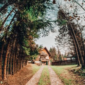 Kamionka WielkaDomek Bogusza的穿过种有树木和房屋的葡萄园的小路
