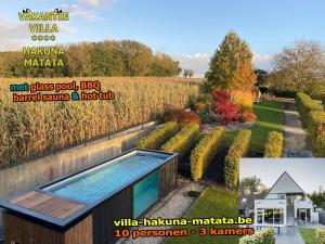 赫拉尔兹贝亨Vakantiewoning Hakuna Matata的花园内带游泳池的别墅杂志广告