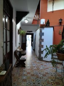 阿古伊梅斯Casa rural el Burro的一间设有走廊的房间,配有桌子和一些植物