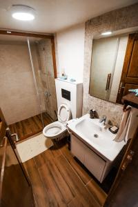 恰纳卡莱Grape Island Bozcaada Guest House的浴室配有卫生间、盥洗盆和淋浴。