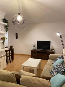 奥伦塞Ponte Canedo的带沙发和电视的客厅