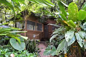 圣伊格纳西奥Iguana Roost Tourism Gold Standard Fully Equipped two Bedroom Cabin的森林中间的小木屋