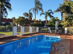 华威麦尼文斯沃里克汽车旅馆的一个带围栏和棕榈树的庭院内的游泳池