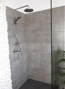Cerexhe-HeuseuxVilla Marco 176的浴室内配有淋浴和头顶淋浴