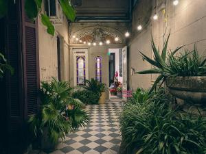 布宜诺斯艾利斯Meridiano Hostel Boutique的楼内带有盆栽的走廊