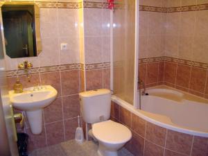 Dlouhá BrtniceRestaurace penzion Rafael的浴室配有卫生间、盥洗盆和浴缸。