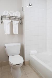 莫斯波因特莫斯波因特帕斯卡古拉智选假日酒店 的浴室配有卫生间、浴缸和毛巾。
