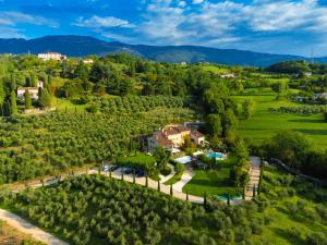 蒂耶内Borghetto San Biagio Relais Agriturismo的享有葡萄园中房屋的空中景致
