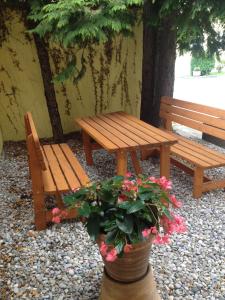 慕尼黑卡姆酒店的木餐桌,长凳和花盆
