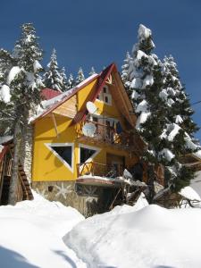 沃尔托普Casa Floare de Colt的雪中的一个黄色房子,有树