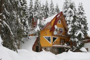 沃尔托普Casa Floare de Colt的森林中积雪覆盖的房子