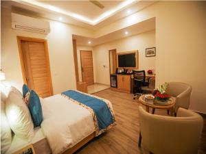勒克瑙Elora Lords Eco Inn , Lucknow的一间卧室配有一张床、一张书桌和一台电视