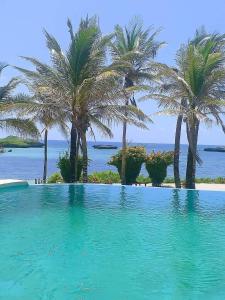 瓦塔穆莉莉帕尔姆度假酒店的一座棕榈树和海洋游泳池