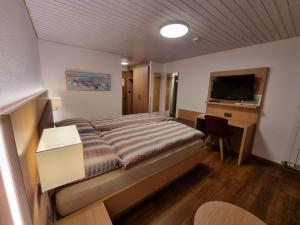 乌尔里兴阿斯托利亚酒店的一间卧室配有一张床、一张书桌和一台电视