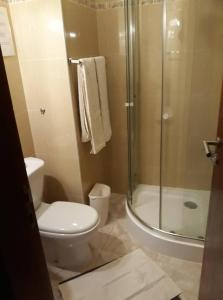 波多诺伏伊利亚住宿加早餐旅馆的一间带卫生间和玻璃淋浴间的浴室