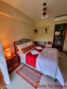 皮拉伊河畔巴拉Pousada Recanto da Lunane的一间卧室配有一张床、梳妆台和镜子