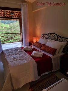 皮拉伊河畔巴拉Pousada Recanto da Lunane的一间卧室设有一张床和一个美景窗户。