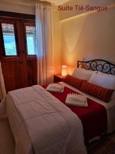 皮拉伊河畔巴拉Pousada Recanto da Lunane的一间卧室配有两张床和一个带灯的床头柜